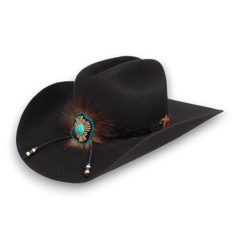 CHARLIE 1 HORSE - COUNTRY WITH A FLARE